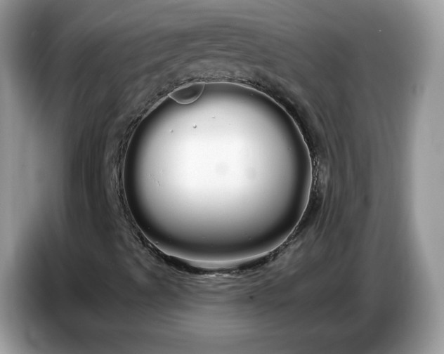 X0000086781489200704271759