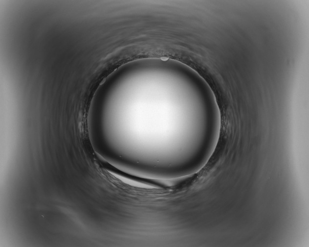 X0000086781490200704271759