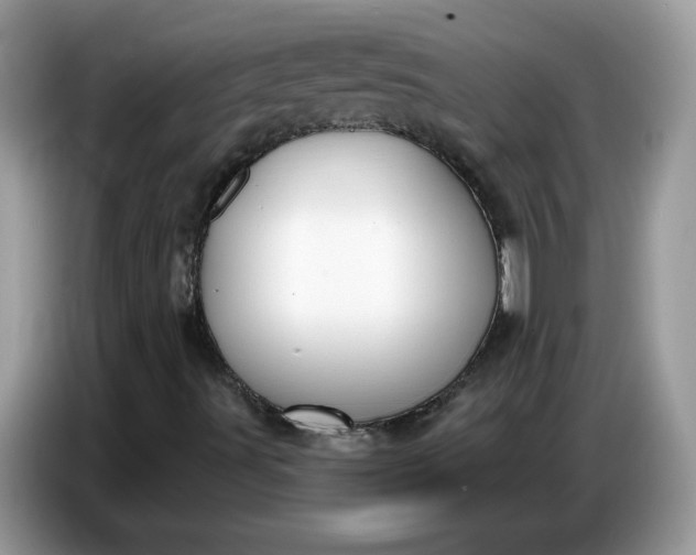 X0000086781491200704271759