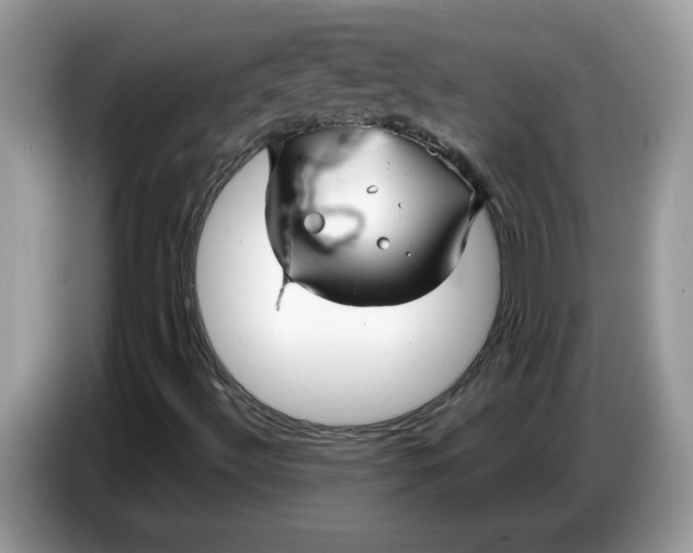 X0000086781492200704271759