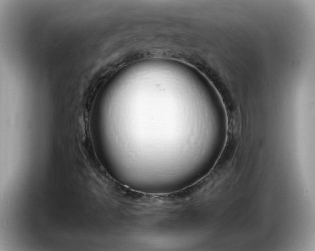 X0000086781493200704271759