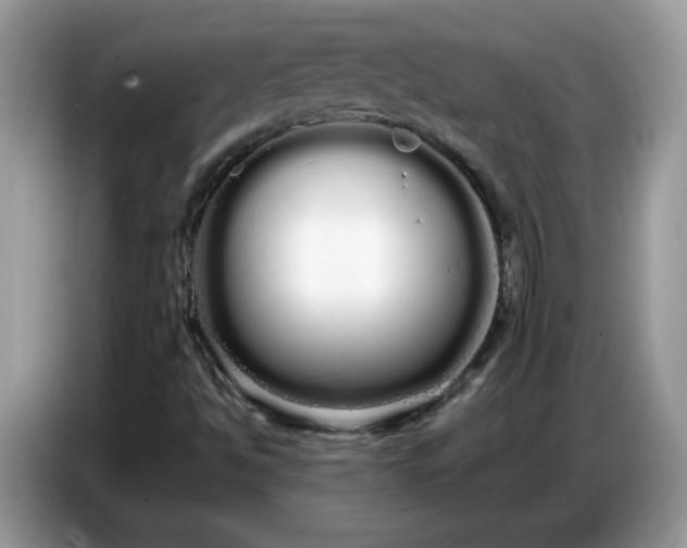 X0000086781494200704271759