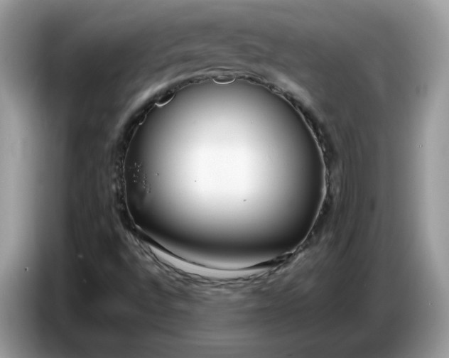 X0000086781496200704271759