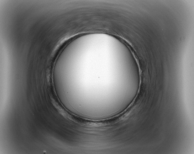 X0000086781499200704271759