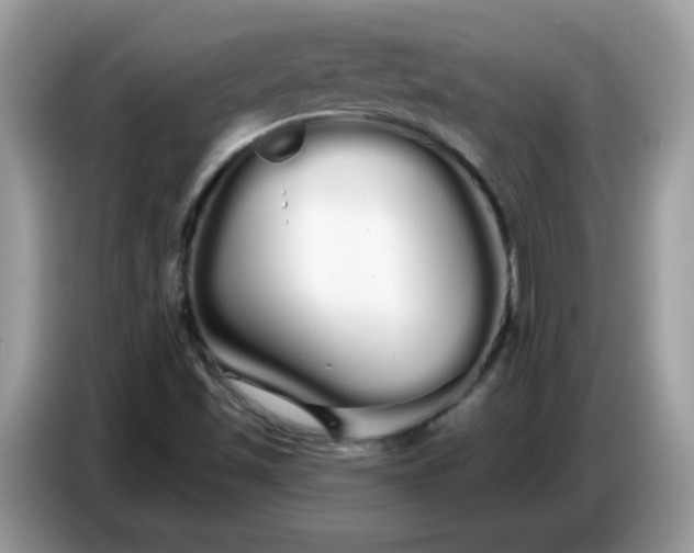 X0000086781501200704271759