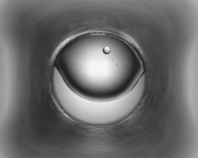 X0000086781504200704271759