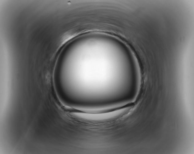 X0000086781505200704271759