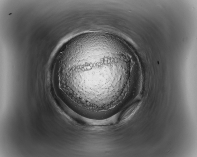 X0000086781506200704271759