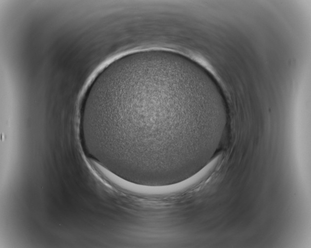 X0000086781508200704271759