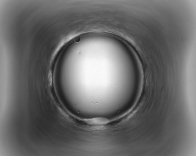 X0000086781509200704271759