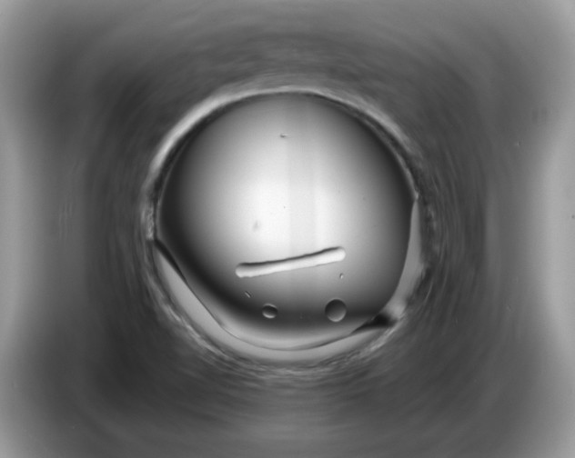 X0000086781510200704271759