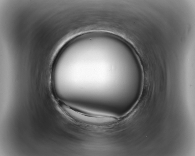 X0000086781511200704271800