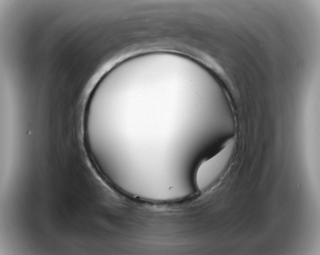 X0000086781512200704271800