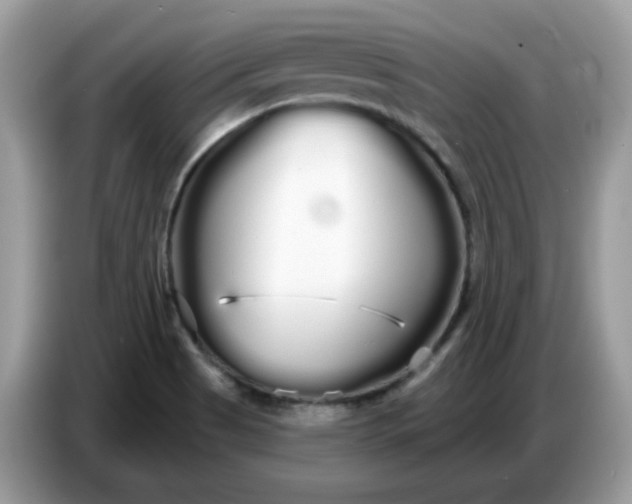 X0000086781513200704271800