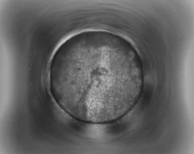 X0000086781514200704271800