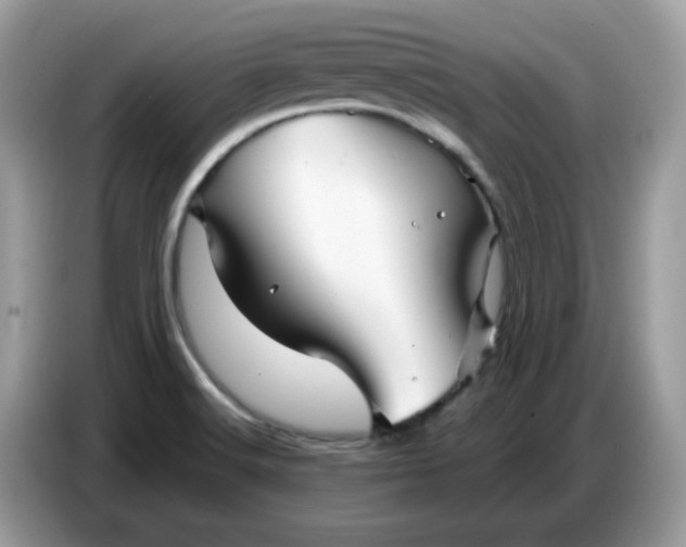 X0000086781516200704271800