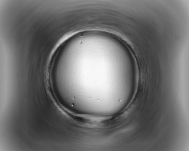 X0000086781517200704271800