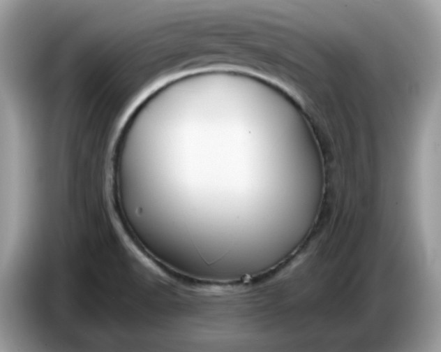 X0000086781518200704271800