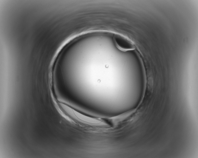 X0000086781519200704271800