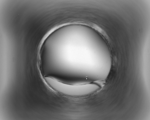 X0000086781520200704271800