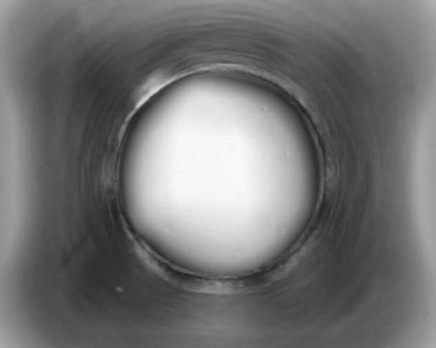 X0000086781521200704271800