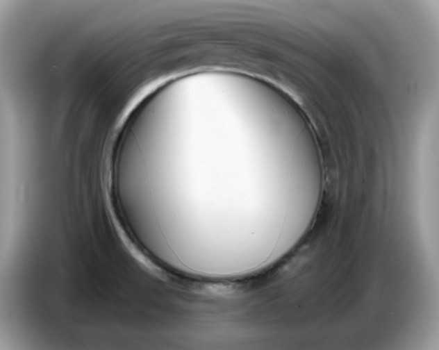 X0000086781523200704271800