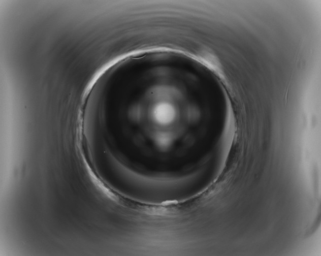 X0000086781524200704271800