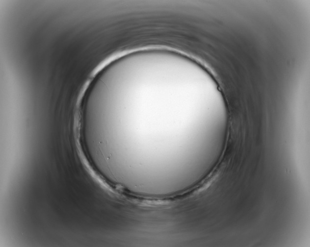 X0000086781526200704271800