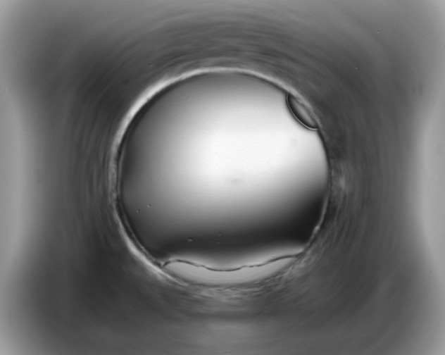 X0000086781527200704271800