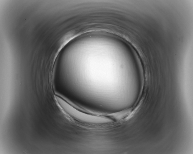 X0000086781529200704271800