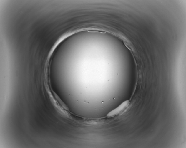 X0000086781530200704271800