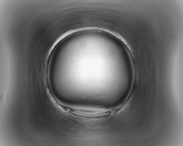 X0000086781534200704271800