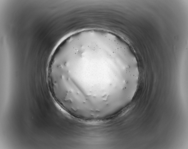 X0000086781535200704271800