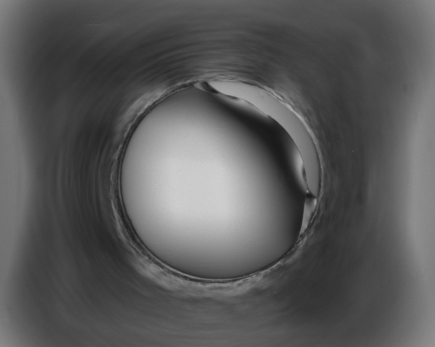 X0000086780001200705041537