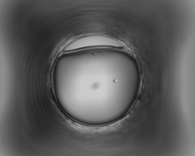 X0000086780002200705041537