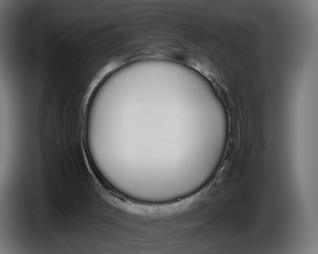 X0000086780003200705041537