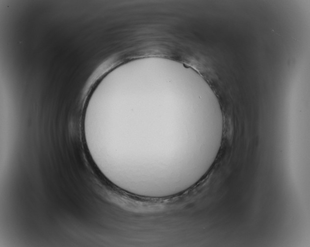 X0000086780004200705041537