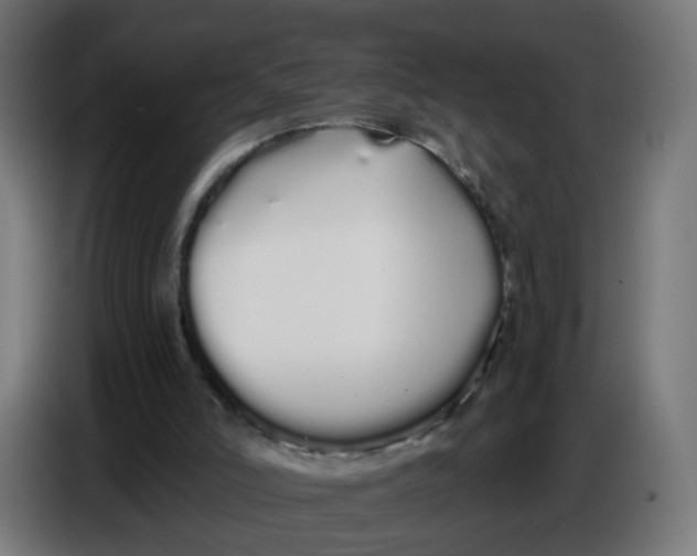 X0000086780006200705041537