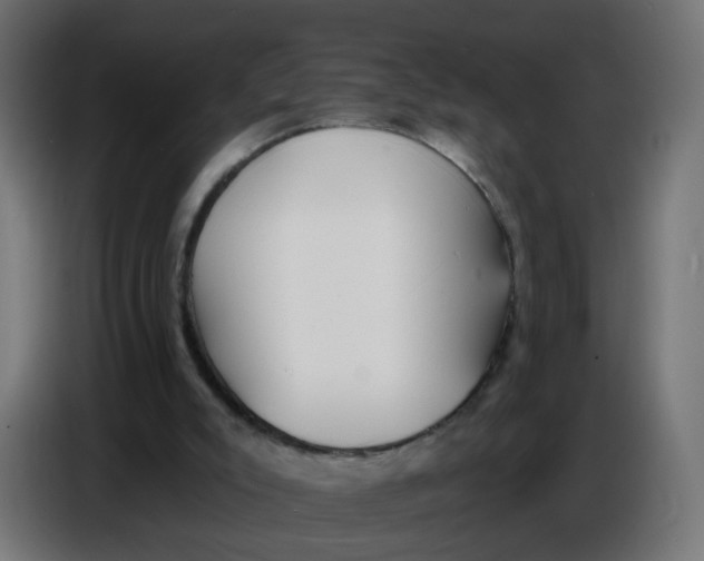 X0000086780007200705041537