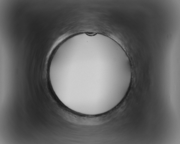 X0000086780008200705041537