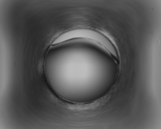 X0000086780009200705041537