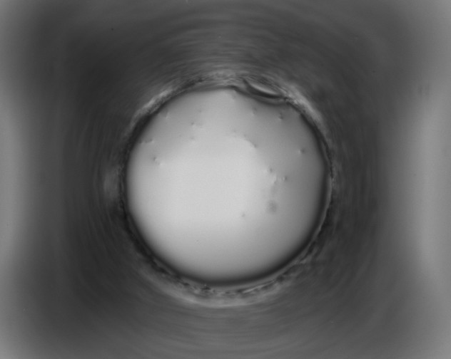 X0000086780010200705041537