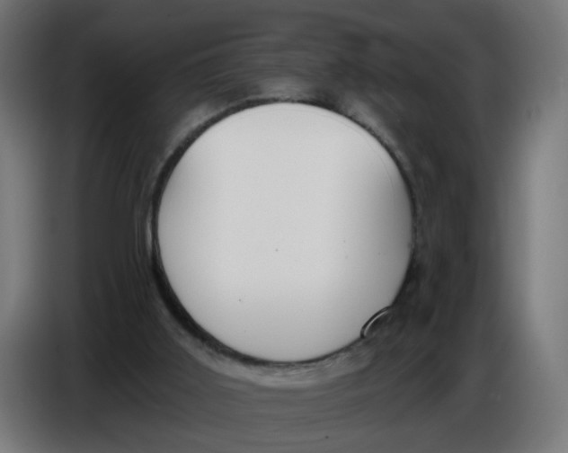 X0000086780011200705041537