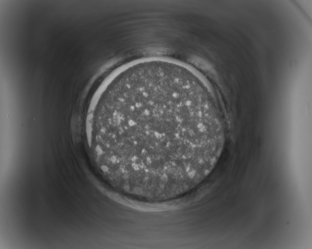 X0000086780012200705041537