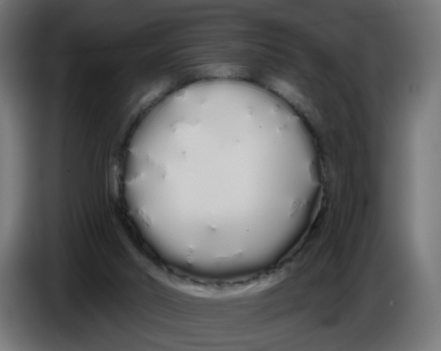 X0000086780014200705041537