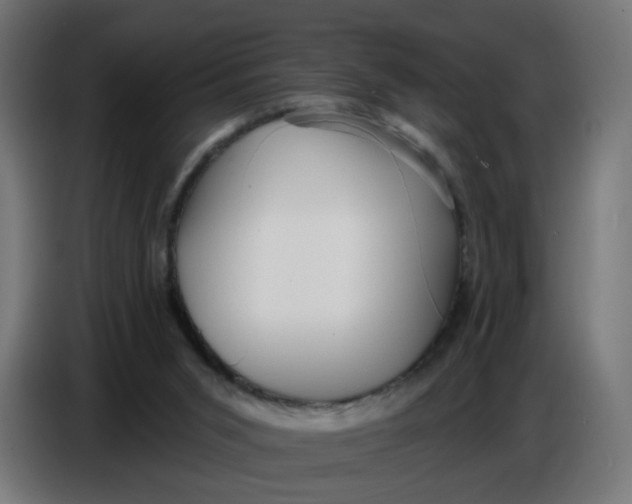 X0000086780015200705041537