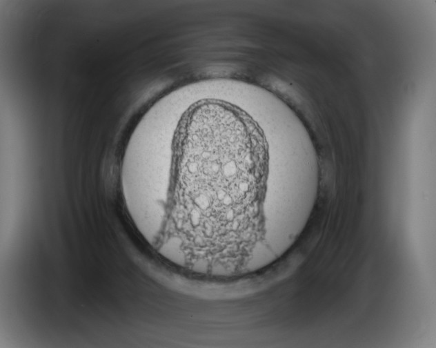 X0000086780016200705041537