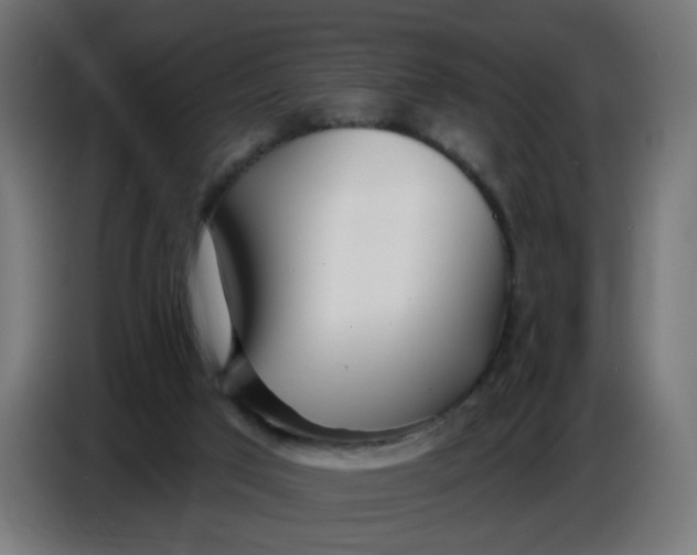 X0000086780017200705041537