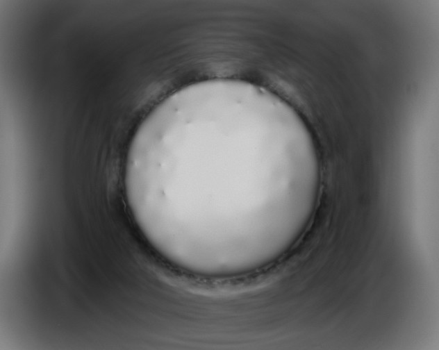 X0000086780018200705041537