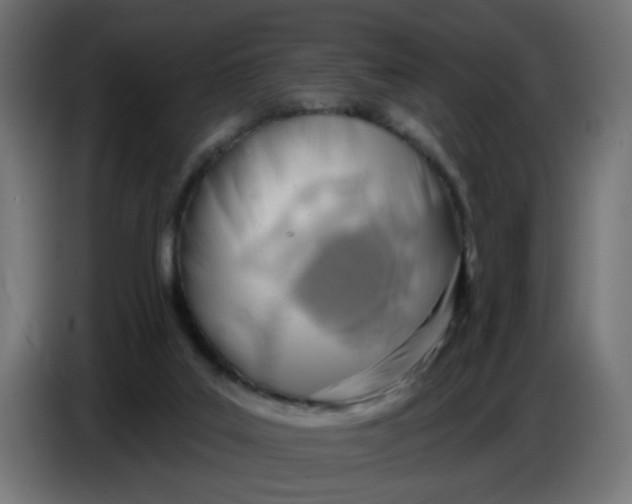 X0000086780019200705041537